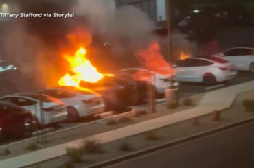 Nevada man pleads guilty to arson at Tesla Collision Center in Las Vegas