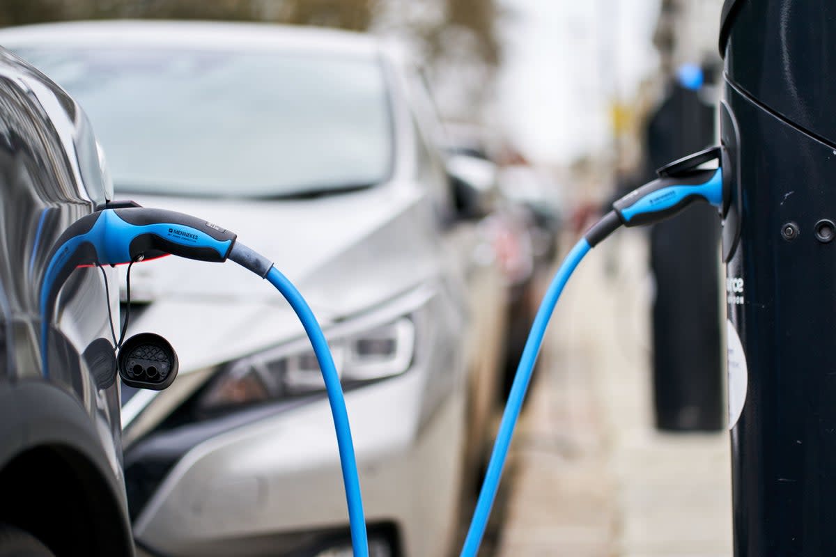 The Lords heard there are currently around 70,000 public charging points in the UK (John Walton/PA) (PA Archive)