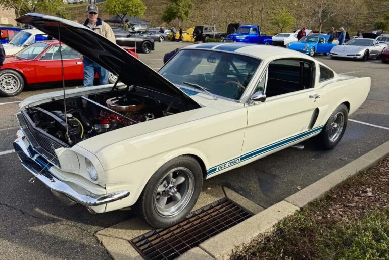 A sweet GT350 at Cars and Coffee