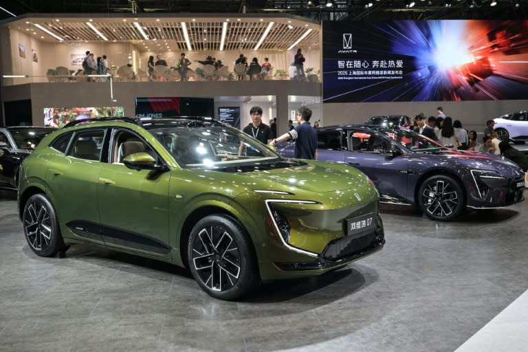 From next year, cars sold in China will need to have door handles with mechanical releases following safety concerns with aerodynamic doors (Hector RETAMAL)