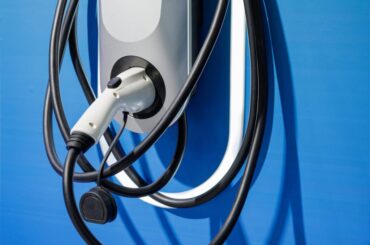 Which EVs came out on top in China’s slowing market?
