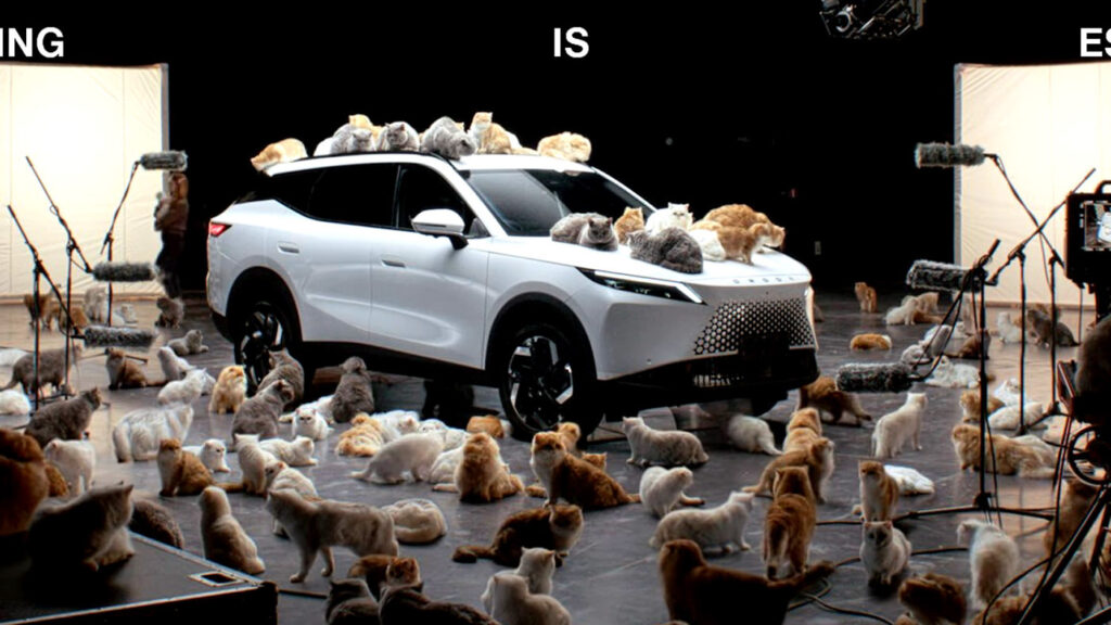  Chinese Brand Uses Dozens Of Fluffy Cats To Prove A Point