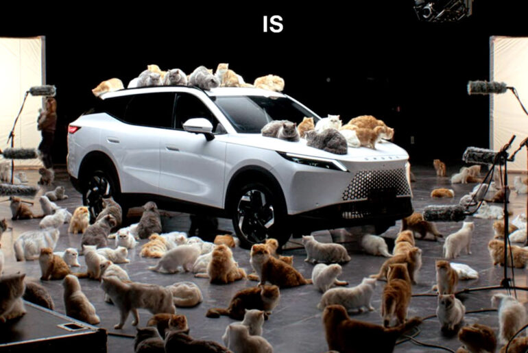 Chinese Brand Uses Dozens Of Fluffy Cats To Prove A Point