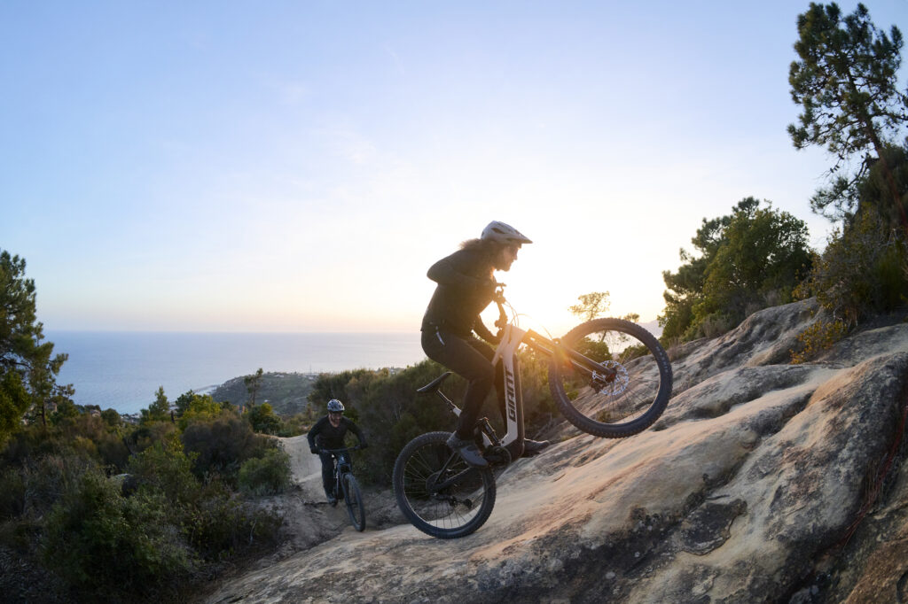 Giant Stance E+ action