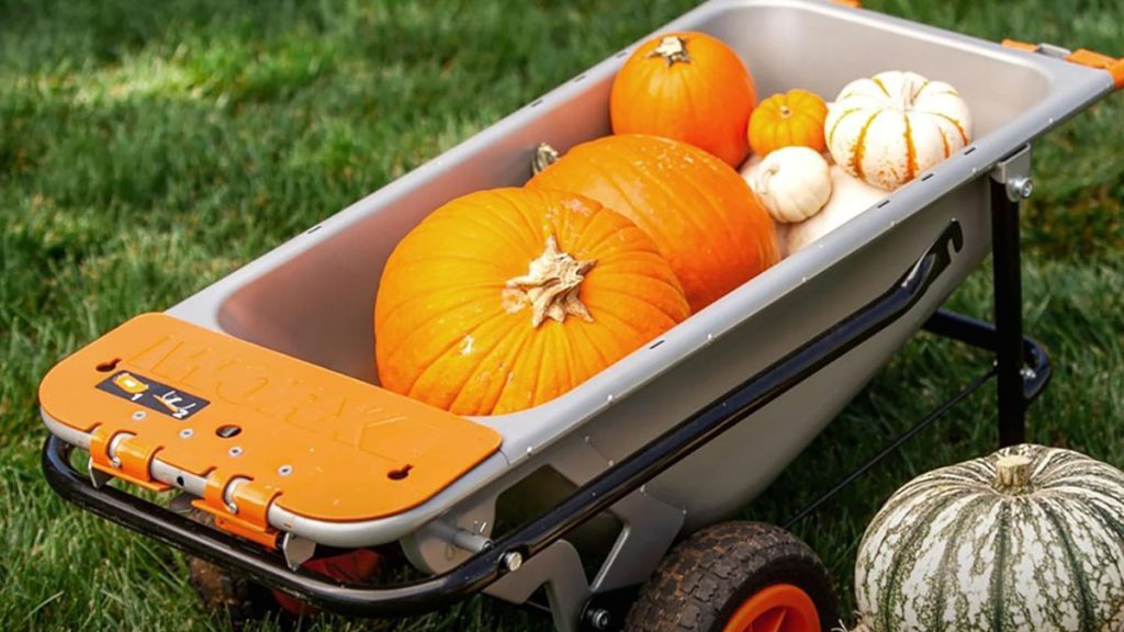 Worx 8-in-1 yard cart carrying pumpkins in yard