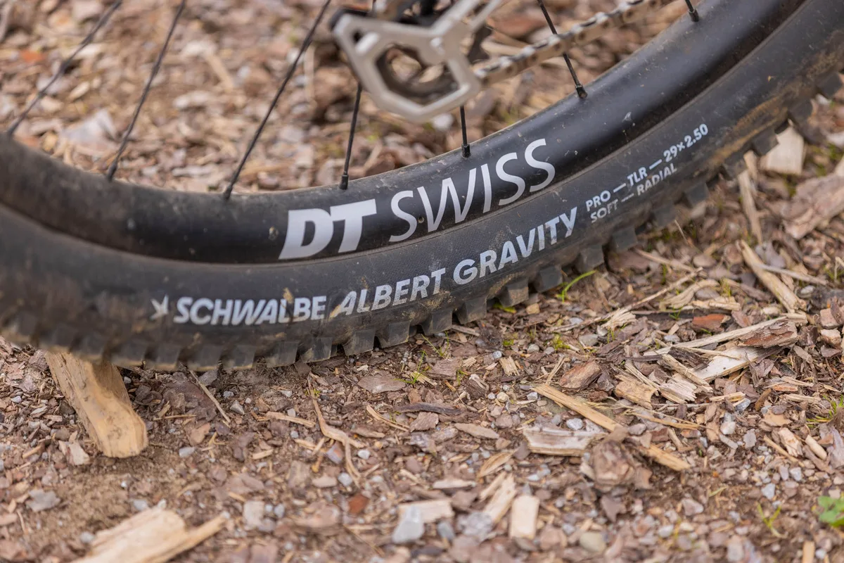 Schwalbe Albert rear tyre on a DT Swiss rim.