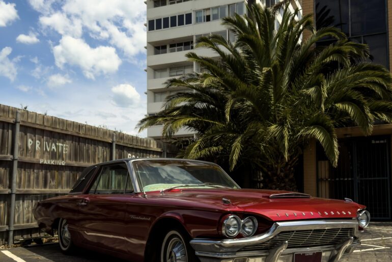 Thunderbird [4547x6062]