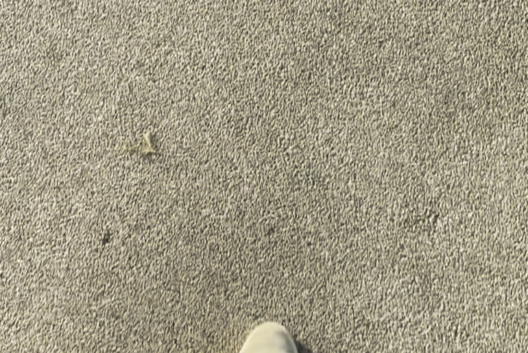 Concorso Italiano 2026 UAE