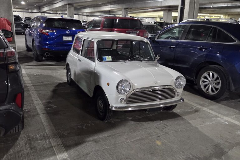 [Unknown] Just A Lil Guy
