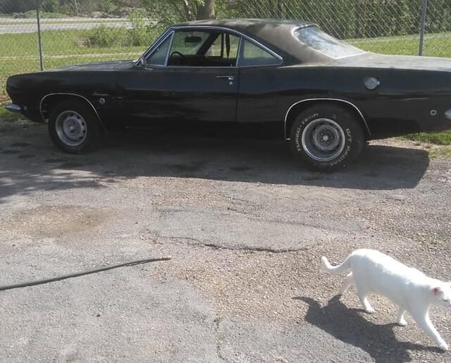 1968 formula s barracuda