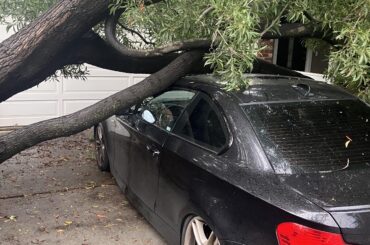 Unintentionally became part of this community last night