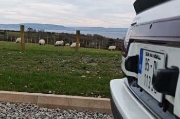 All white with some panda 🐼