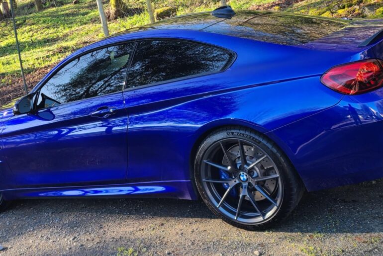 Under the trees. 2400X1080