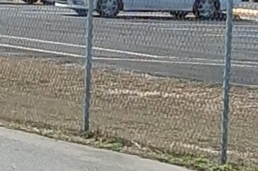 Spotting on the r way home