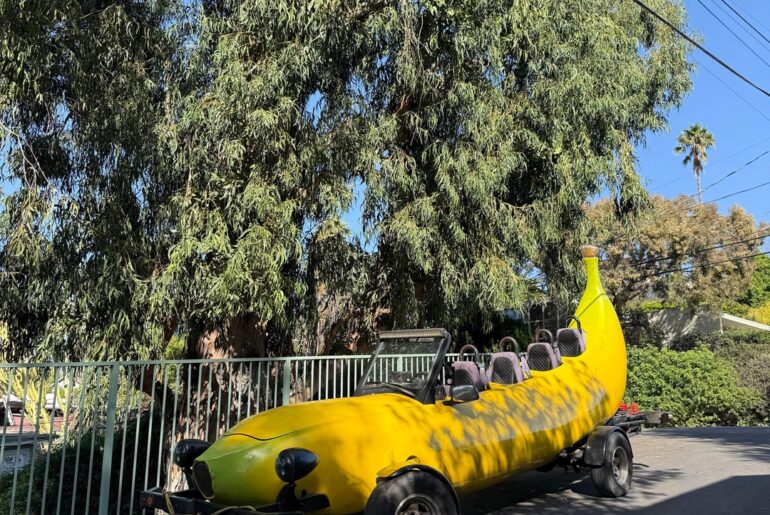 1 of 1 [unknown banana mobile]