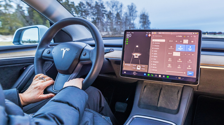 Person driving a Tesla