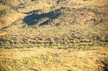 Prado in the Arizona Desert