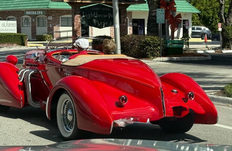 Anyone know what this is?