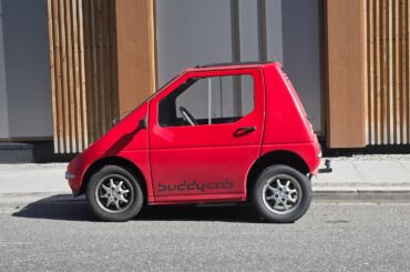 Buddy in Tromsø Norway