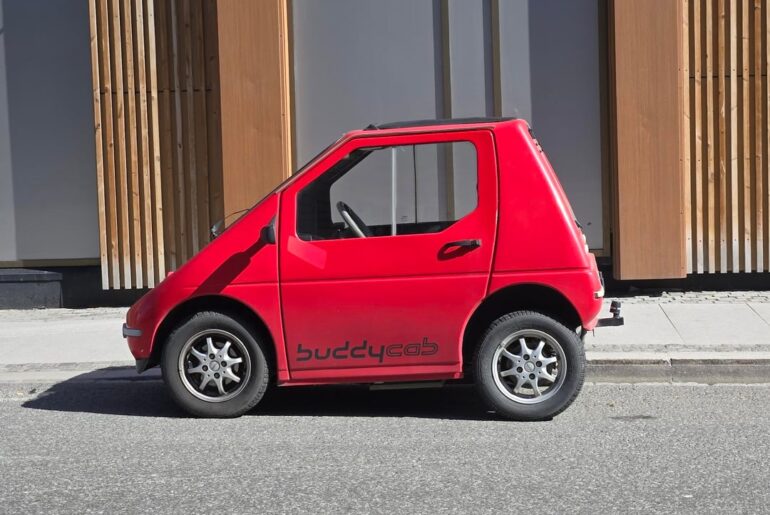 Buddy in Tromsø Norway