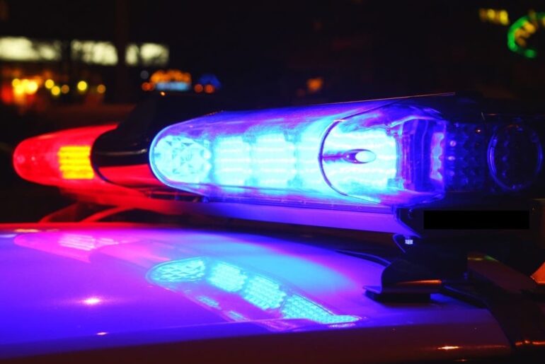 Man Unloading Truck Fatally Struck By Tesla In San Leandro: Police