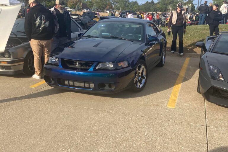 Mystichrome [mustang cobra]