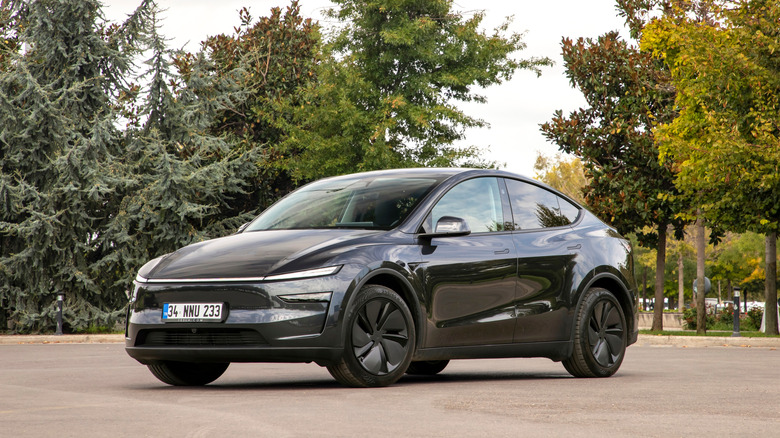 A Tesla Model Y EV in front of a park