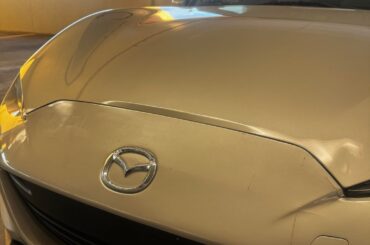 Should I buy new bumper or just paint it and look