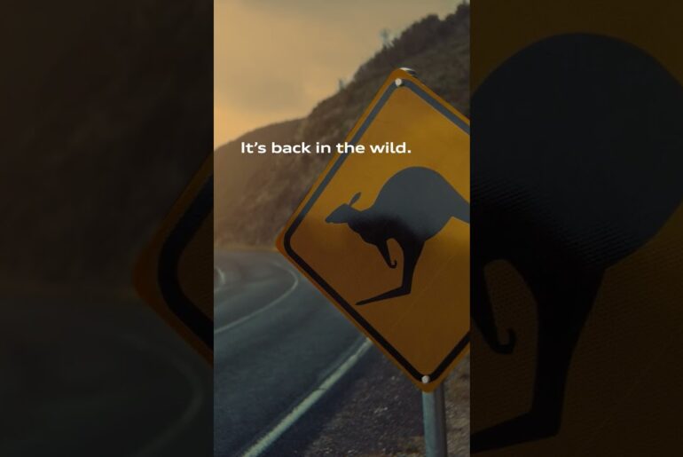 Waking the Beast: The Audi R8 LMP “Crocodile”