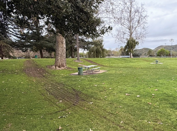 PARK DAMAGE— Ruts in two area parks caused by e-bikes will cost taxpayers tens of thousands of dollars to fix. Courtesy of CRPD