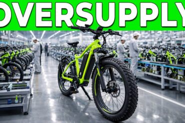 Why Cheap E-Bikes Keep Flooding the Market (And Who Pays for It)