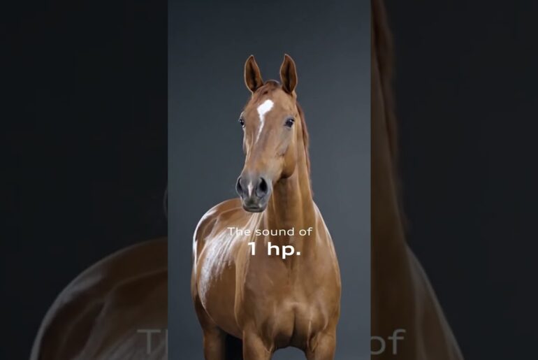 The sound of horsepower