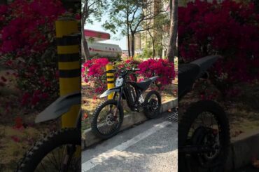 Power. Speed. Freedom. Meet your next eBike.