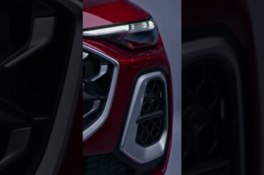 Stealing the Spotlight 🏆✨