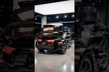 The 3-Wheel Electric Goldwing Built for Endless Adventures!