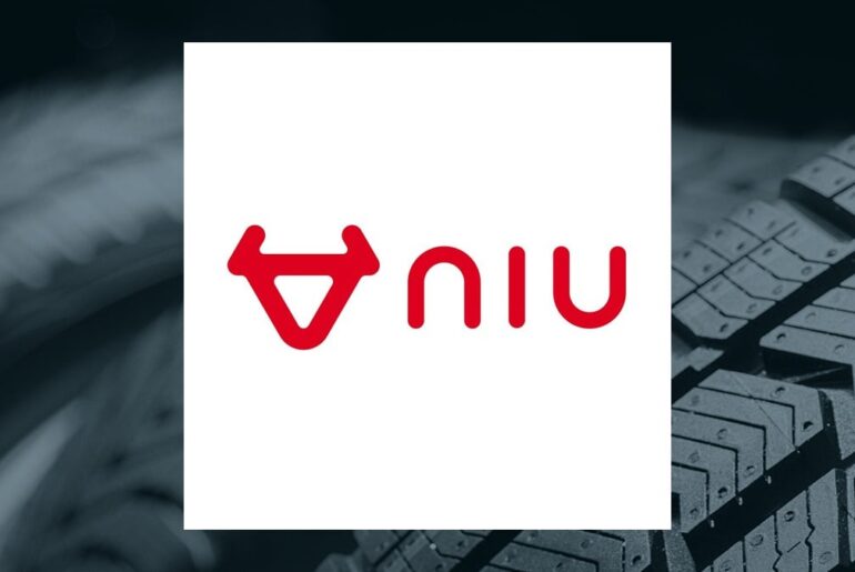 Niu Technologies Q4 Earnings Call Highlights