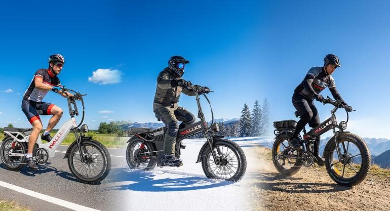 Goodbye Range Anxiety: The Wallke Engineering Secrets