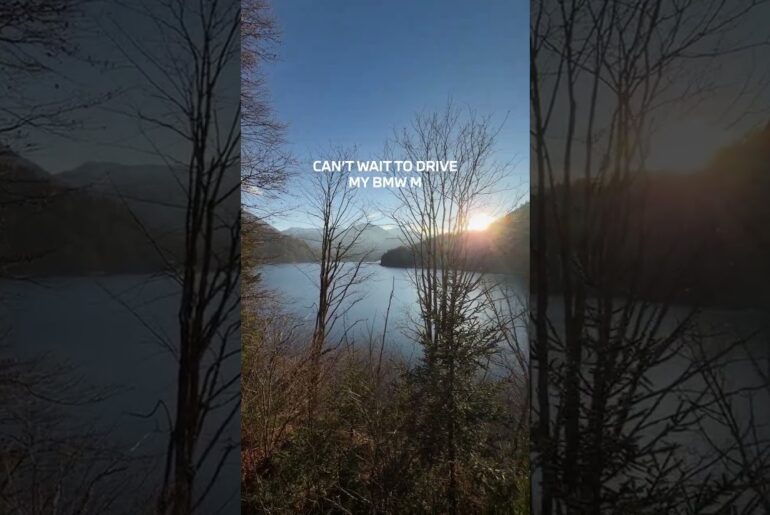 Inside the mind of GEN M 💭