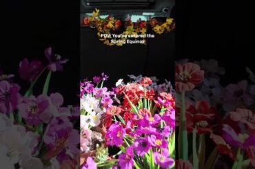 The Equinox EV kicks off spring in style with fresh interior tech built for a fresh season.