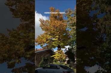 blue skies and... | The #BMW i4.