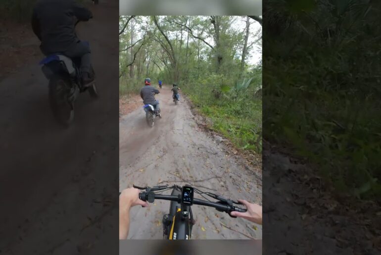 Mokwheel Obsidian 2.0 Off-Road Test!