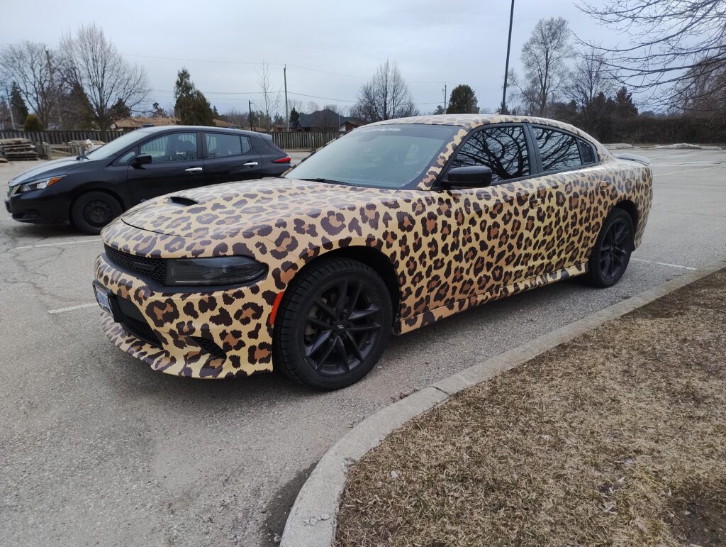 Well it's uh... spotted? [Dodge Charger]