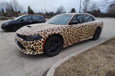 Well it's uh... spotted? [Dodge Charger]