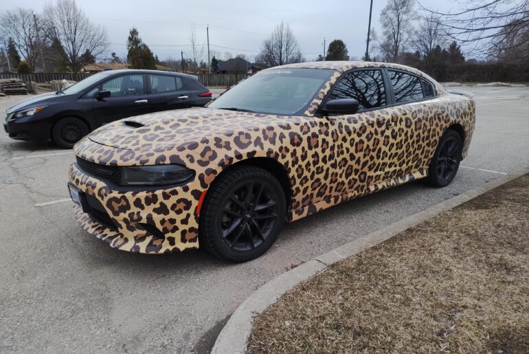 Well it's uh... spotted? [Dodge Charger]