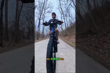 The Cruiser That Handles Dirt (Tenways Wayfarer)