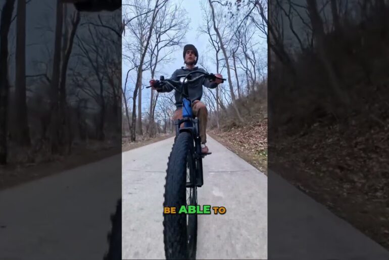 The Cruiser That Handles Dirt (Tenways Wayfarer)