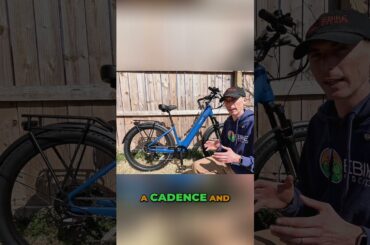 The Tenways Wayfarer is a Different Kind of Cruiser