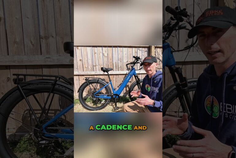 The Tenways Wayfarer is a Different Kind of Cruiser