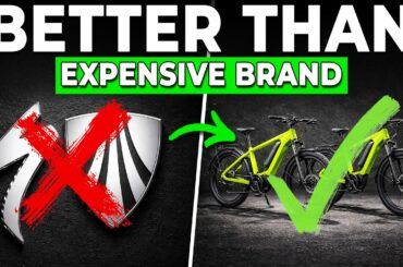 Stop Overpaying: 17 E-Bike Brands That Beat the Expensive Ones
