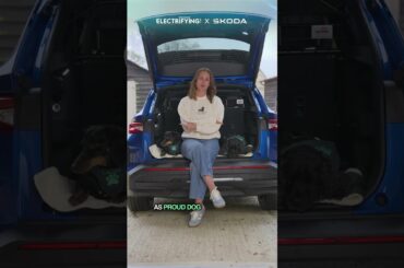 EVs Won't ... make a dog happy